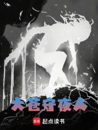大苍守夜人封面